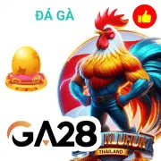vn138 Game 08